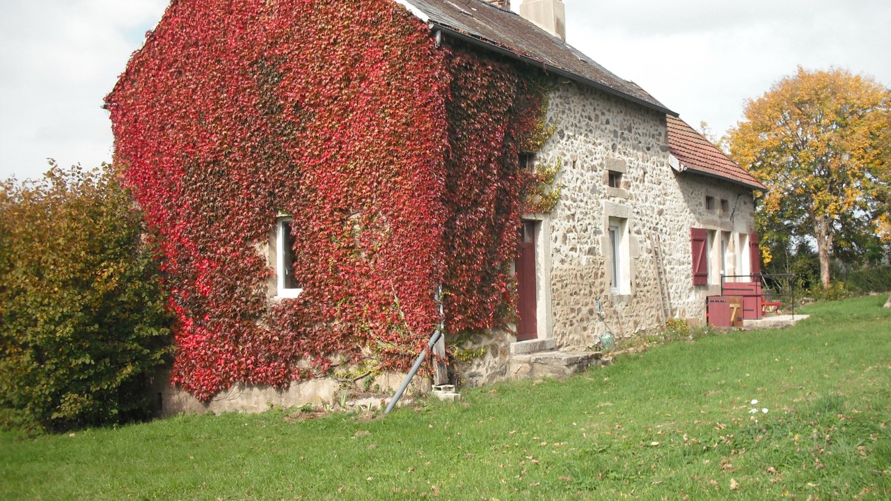 Photo of Outdoor in Saint-Brisson