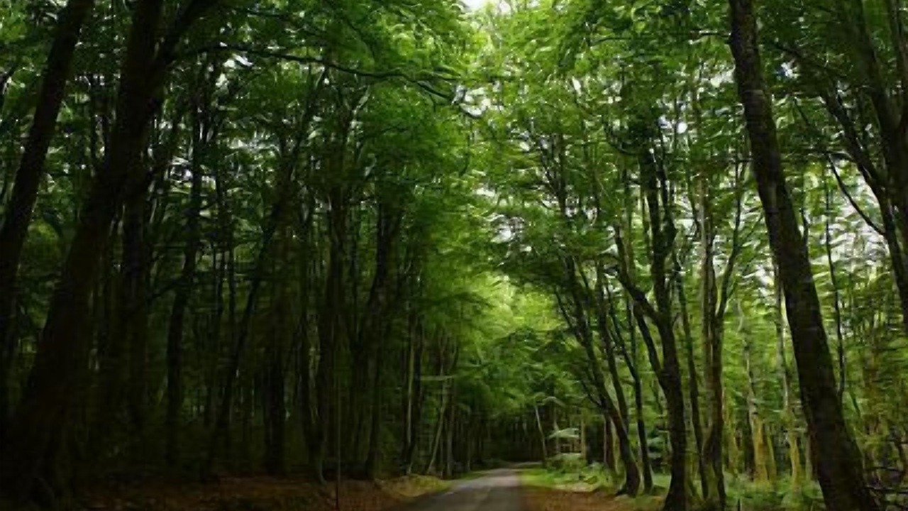 Photo of Outdoor in Saint-Brisson