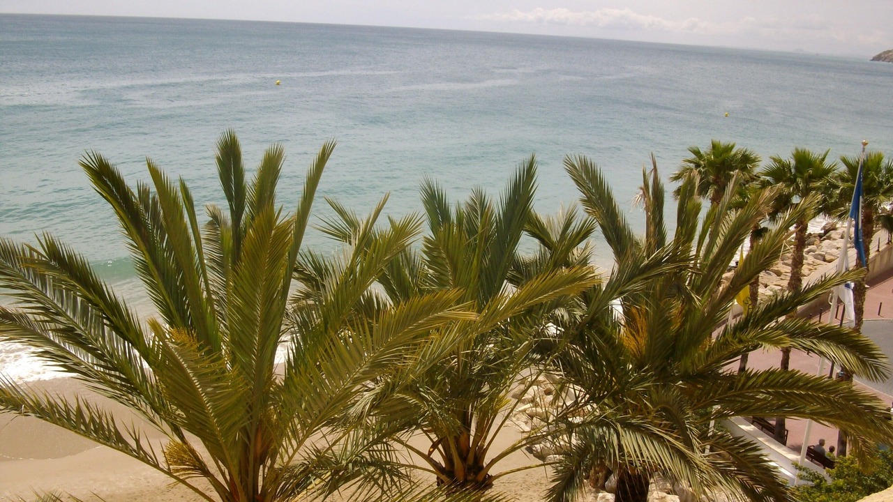 Photo of Others in Rafol de Almunia