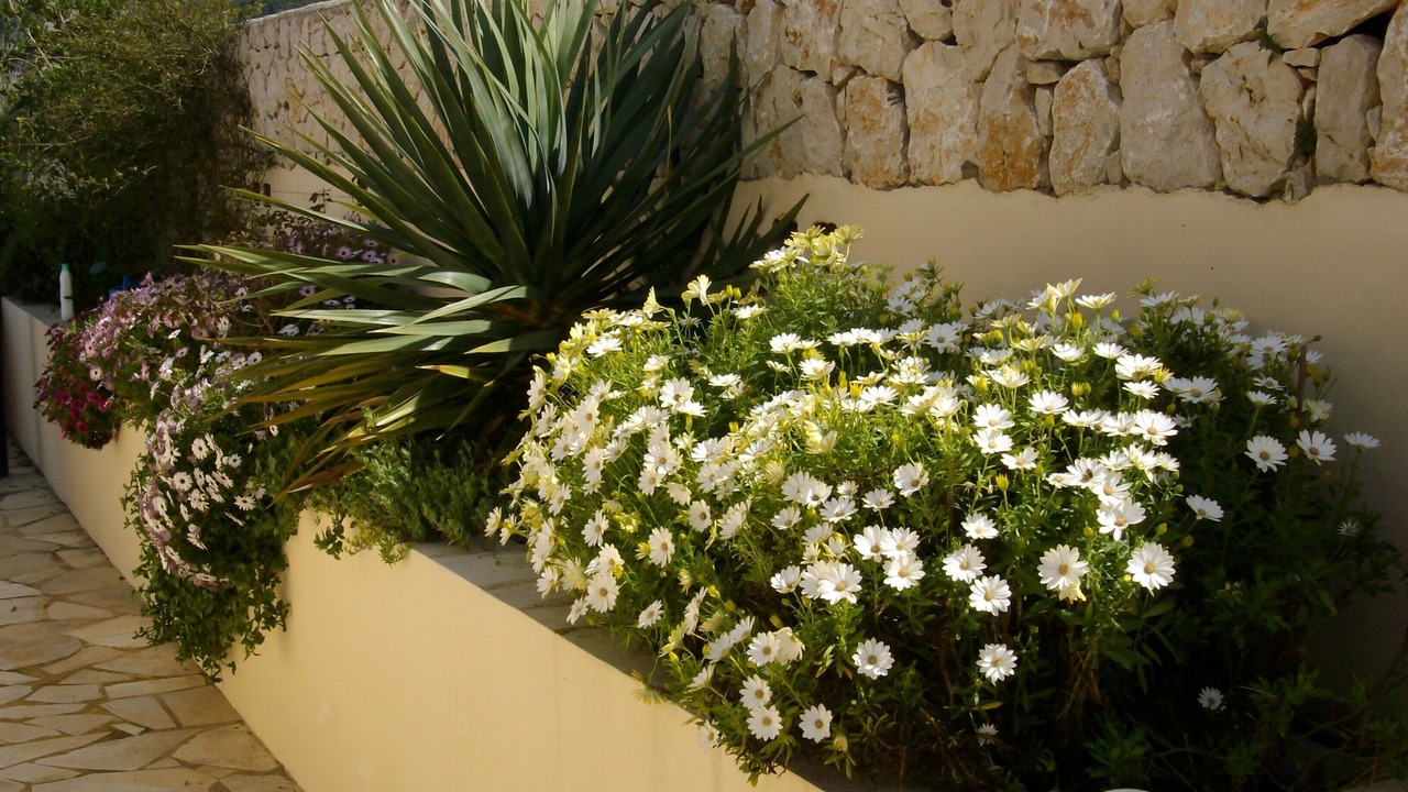 Photo of Outdoor in Rafol de Almunia