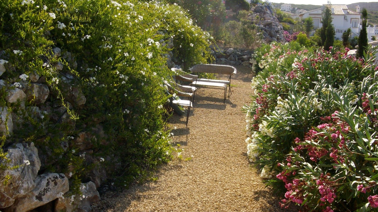 Photo of Outdoor in Rafol de Almunia