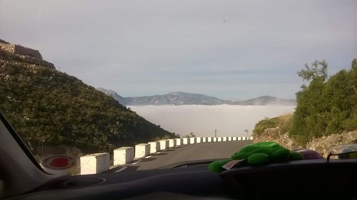 Photo of Outdoor in Rafol de Almunia