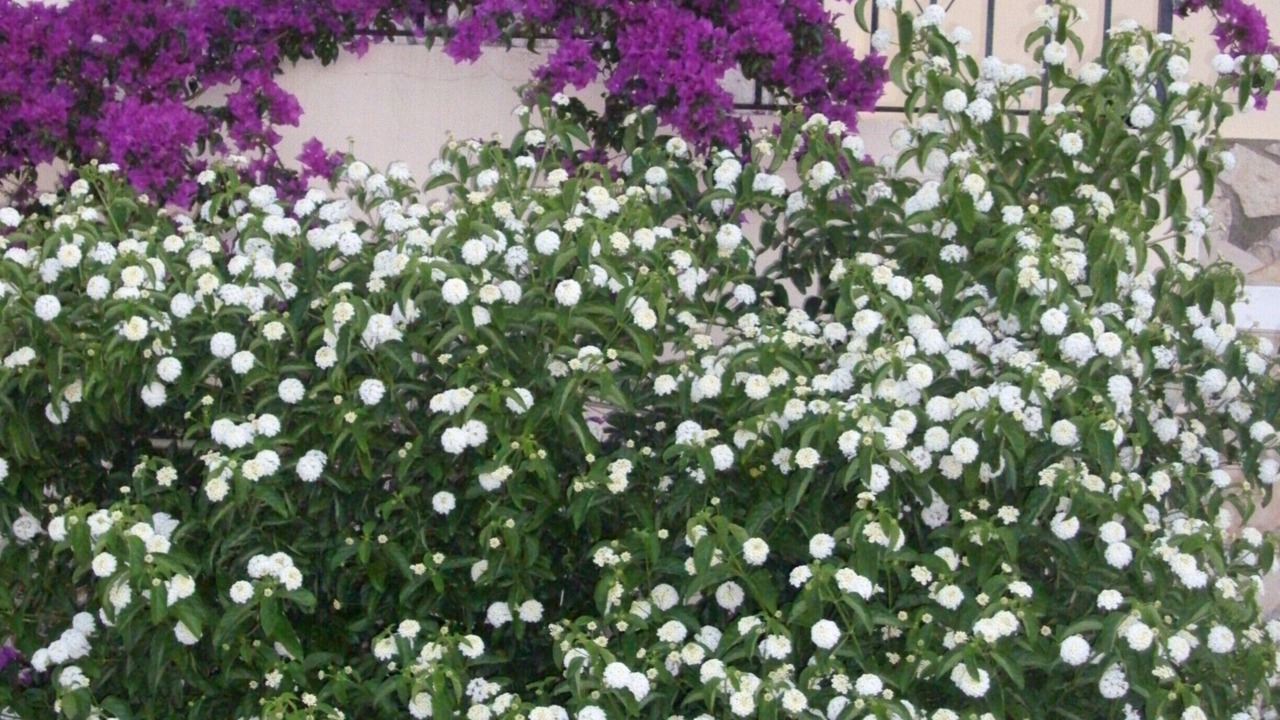 Photo of Outdoor in Rafol de Almunia