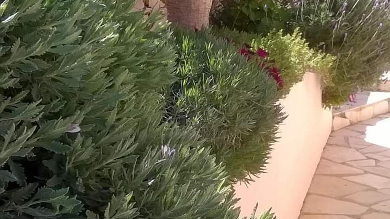 Photo of Outdoor in Rafol de Almunia