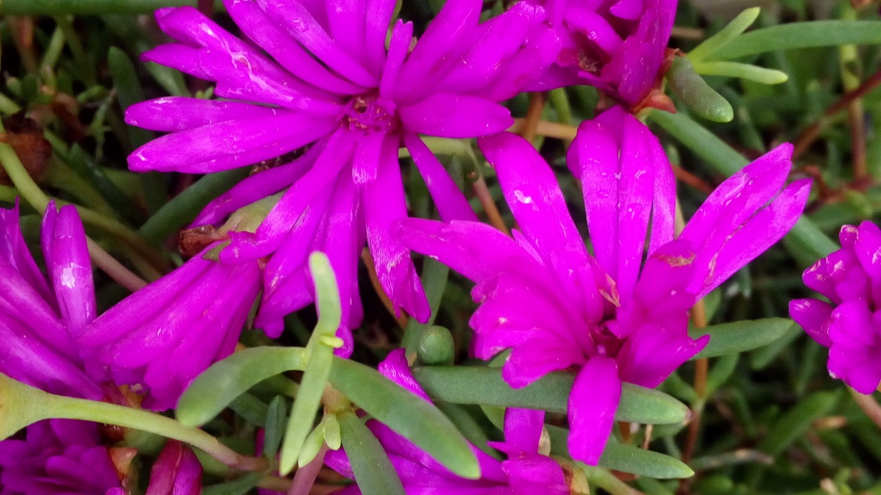Photo of Outdoor in Rafol de Almunia