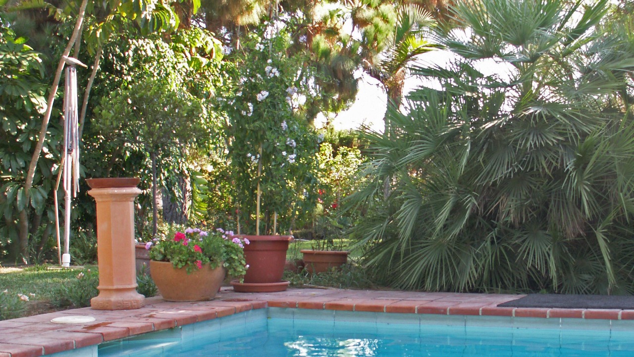 Photo of Outdoor in San Juan de Alicante