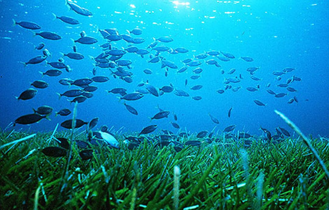 Photo of Outdoor in San Juan de Alicante