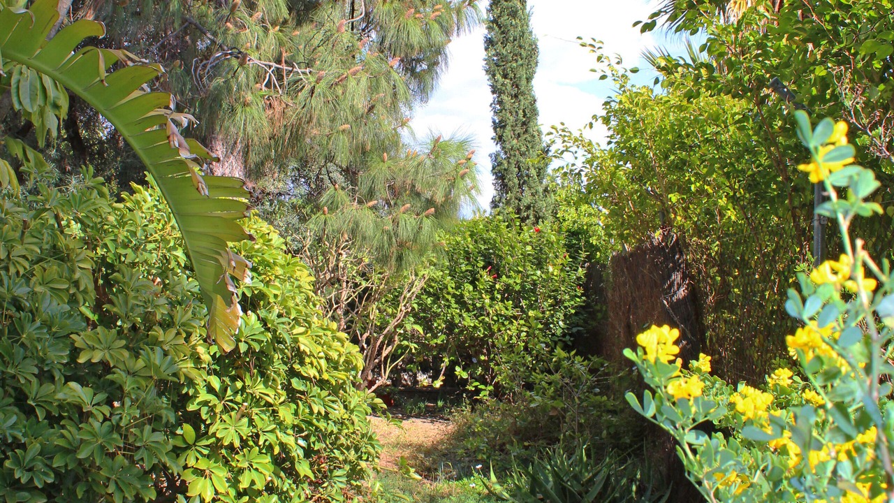 Photo of Outdoor in San Juan de Alicante