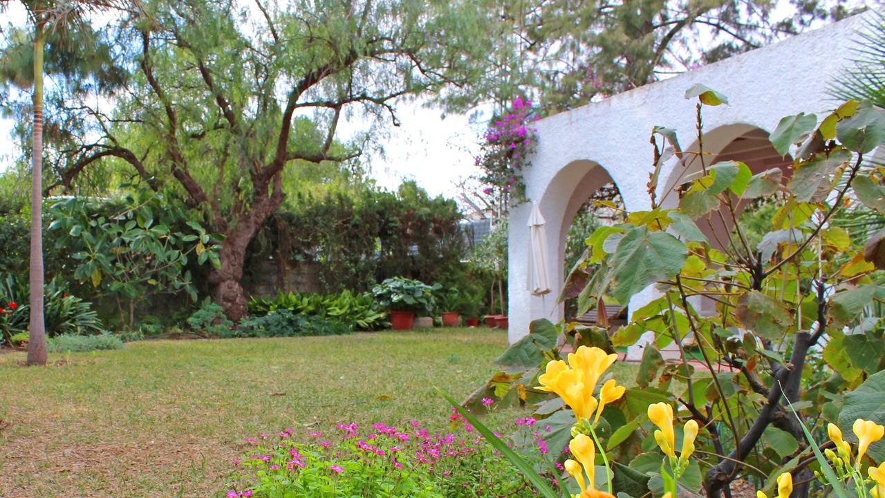 Photo of Outdoor in San Juan de Alicante
