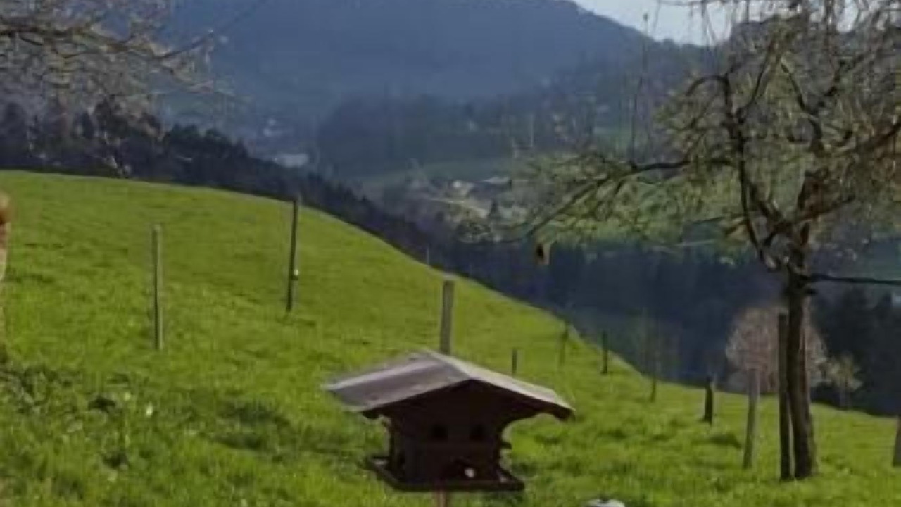 Photo of Outdoor in Wald