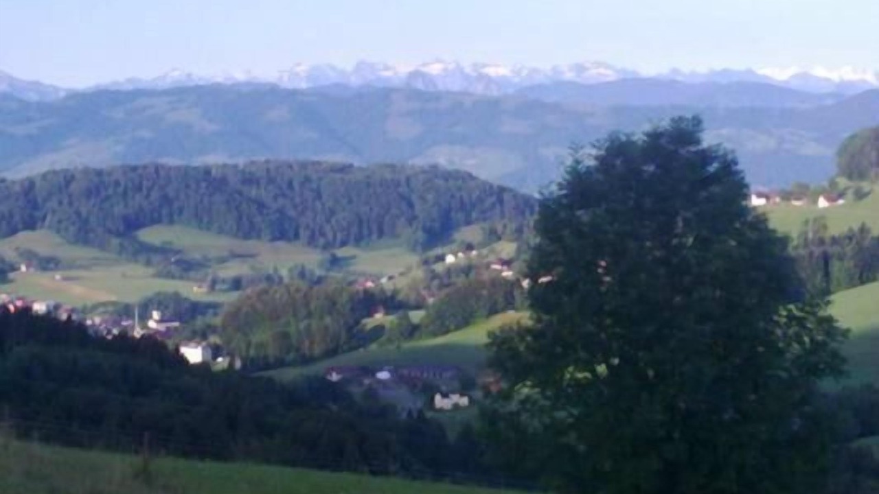 Photo of Outdoor in Wald