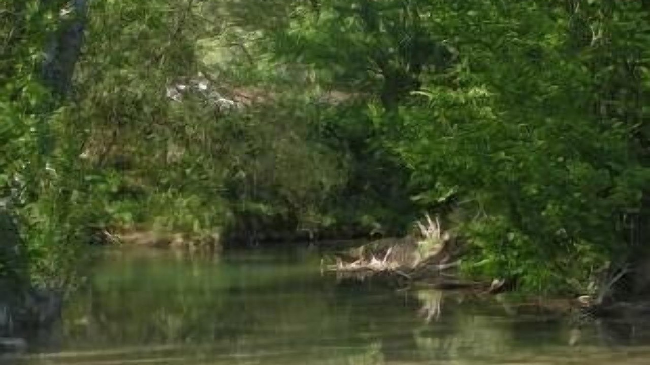 Photo of Outdoor in Fauroux