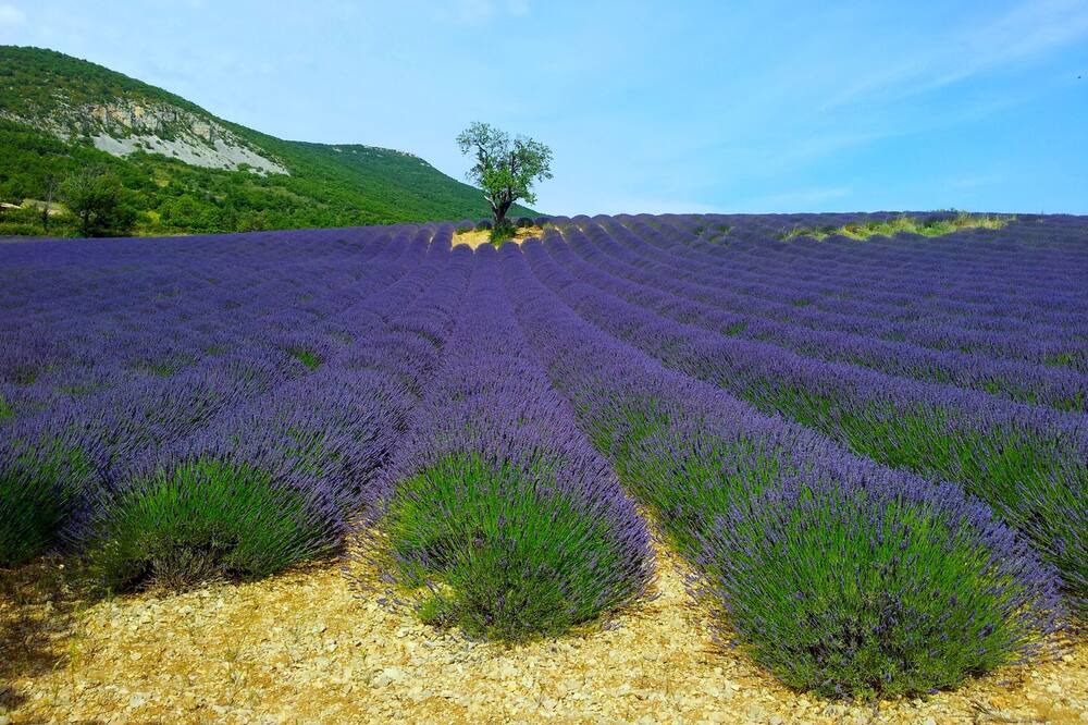 Photo of Outdoor in Montguers