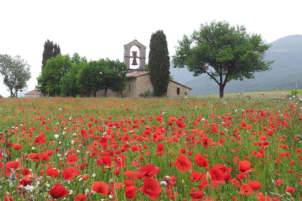 Photo of Outdoor in Montguers
