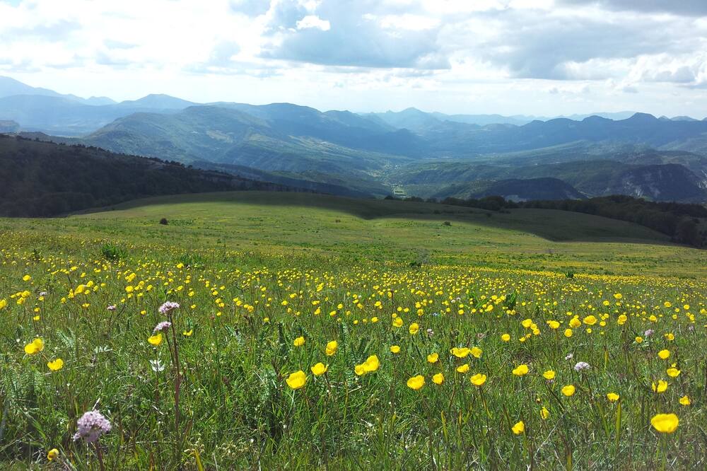 Photo of Outdoor in Montguers