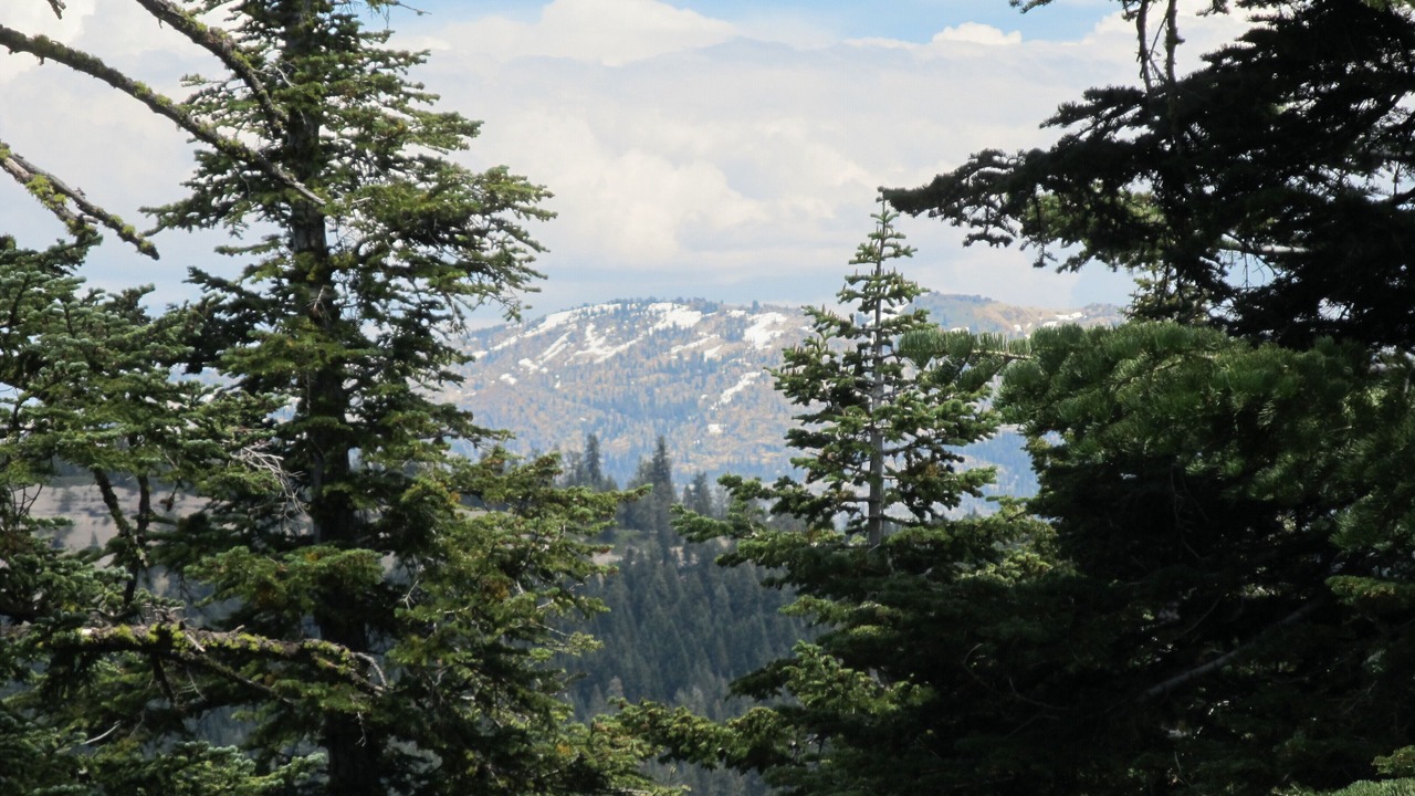 Photo of Outdoor in Bear Valley