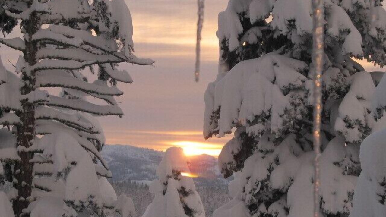 Photo of Outdoor in Bear Valley