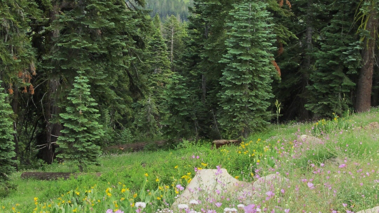 Photo of Outdoor in Bear Valley