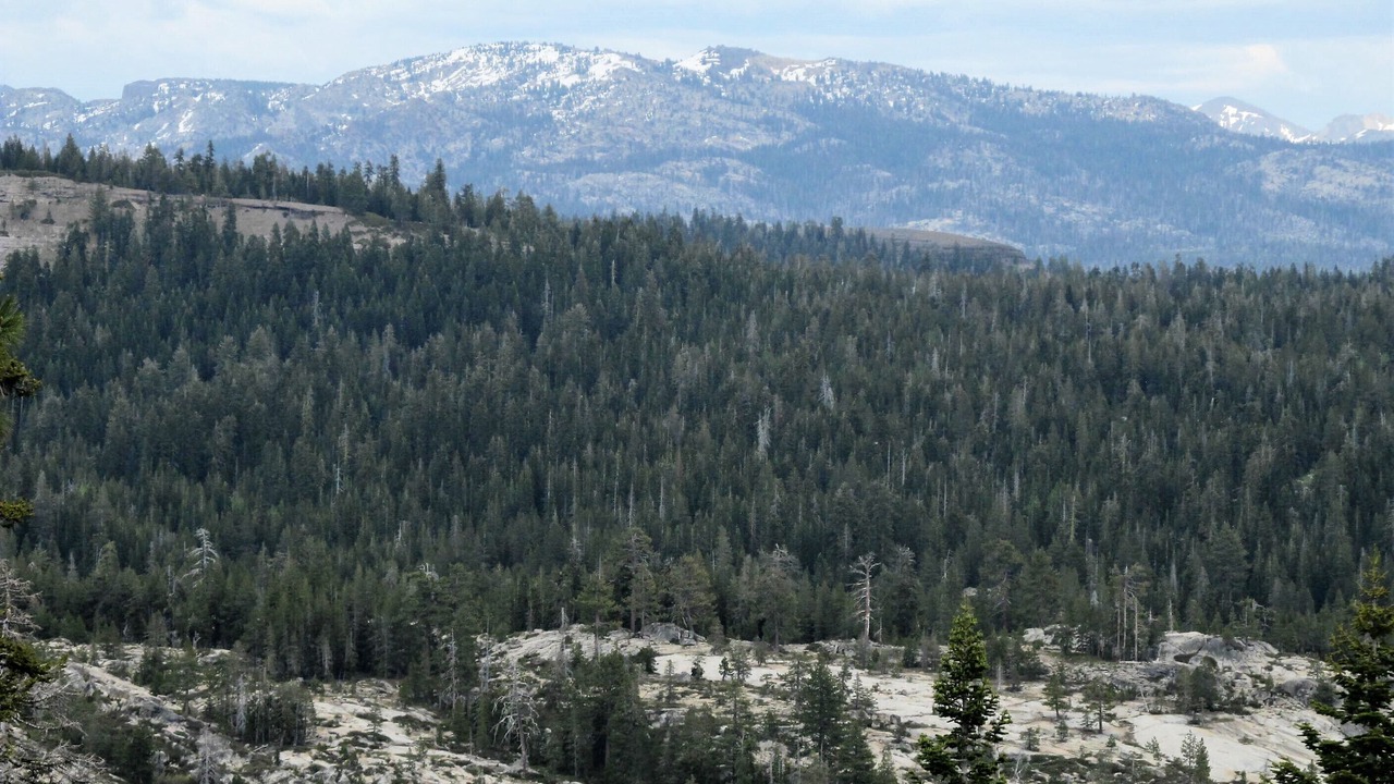 Photo of Outdoor in Bear Valley