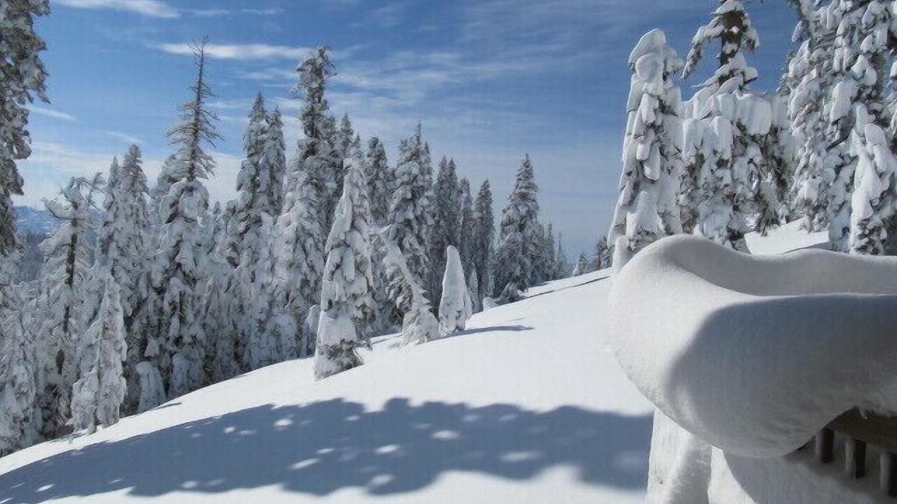 Photo of Others in Bear Valley