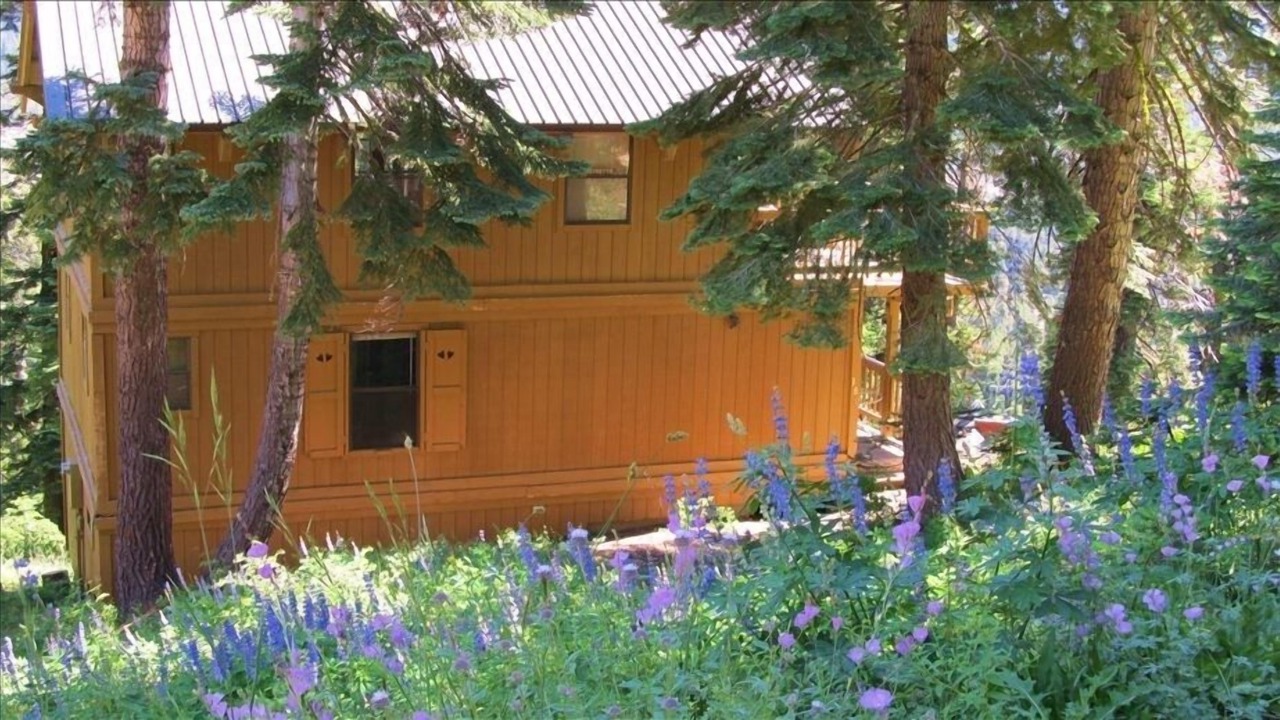 Photo of Outdoor in Bear Valley