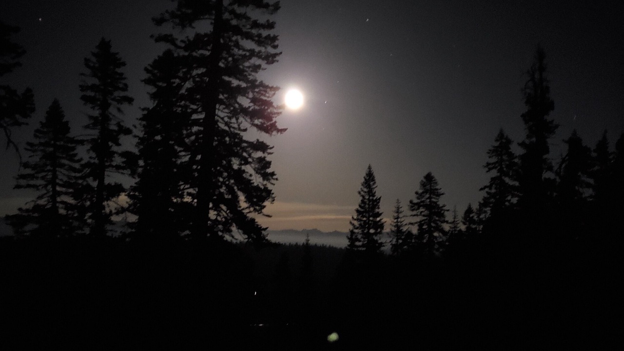 Photo of Others in Bear Valley