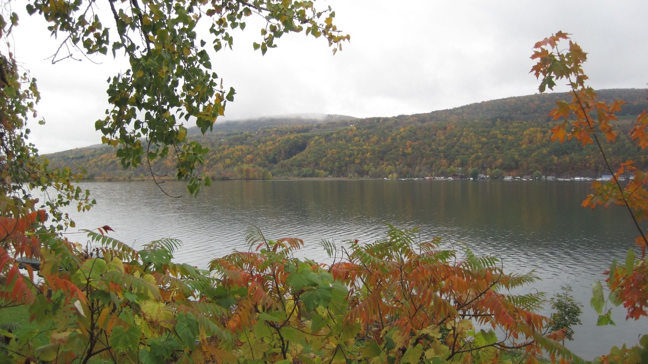 Photo of Outdoor in Middlesex