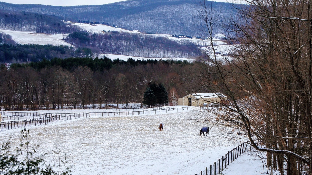 Photo of Others in Town of Copake
