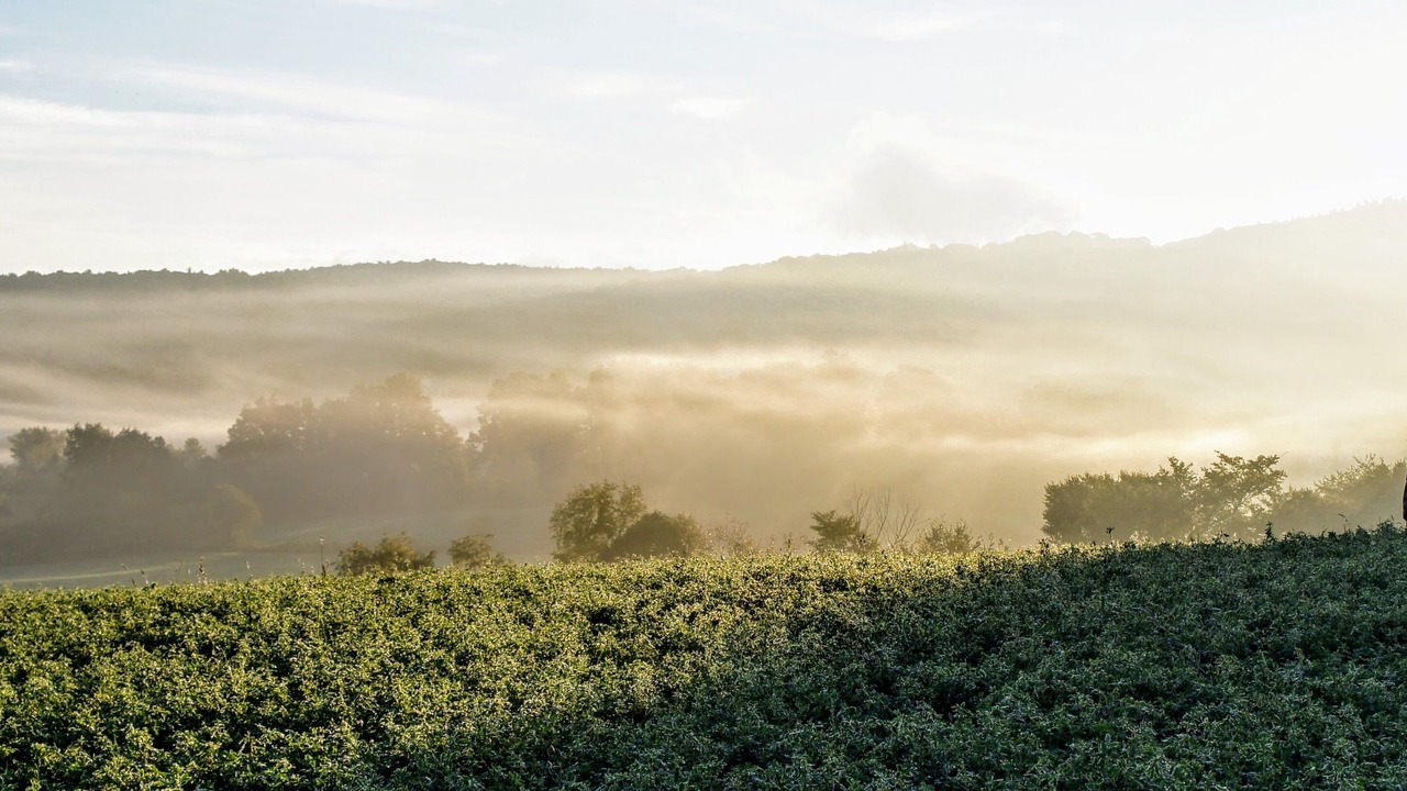 Photo of Others in Town of Copake