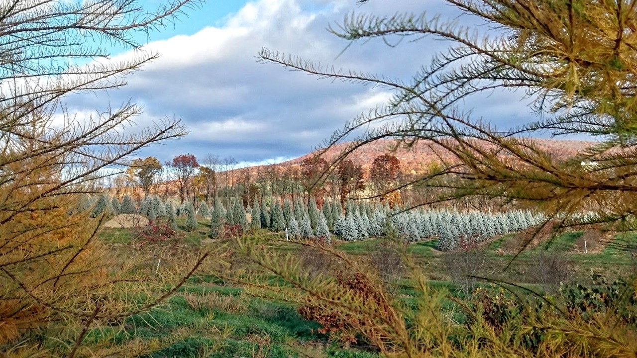 Photo of Outdoor in Town of Copake