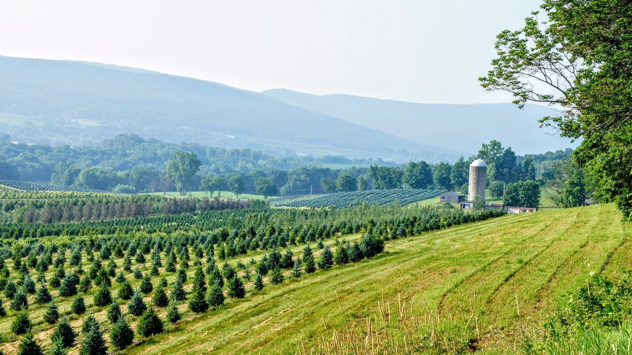 Photo of Outdoor in Town of Copake