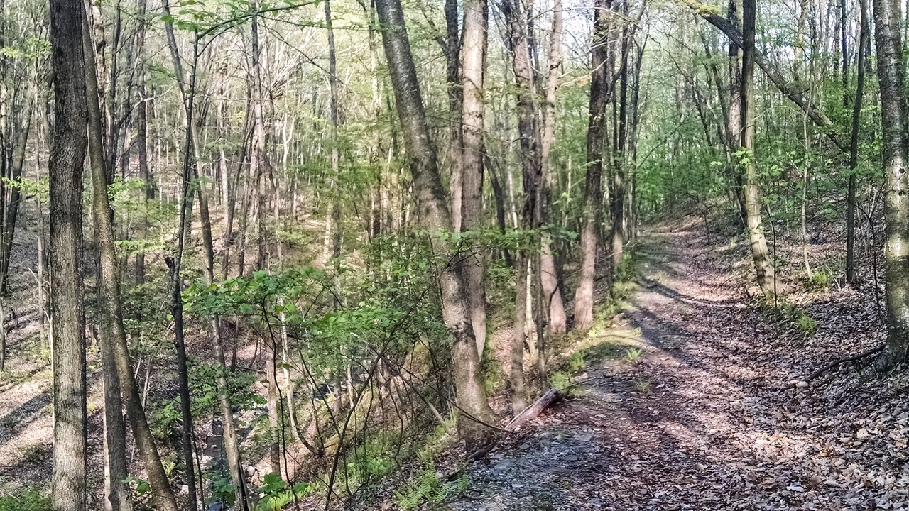 Photo of Outdoor in Town of Copake