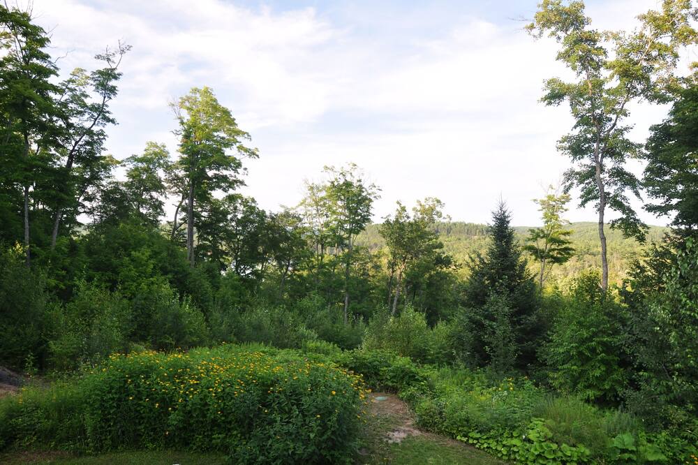 Photo of Others in Highlands East