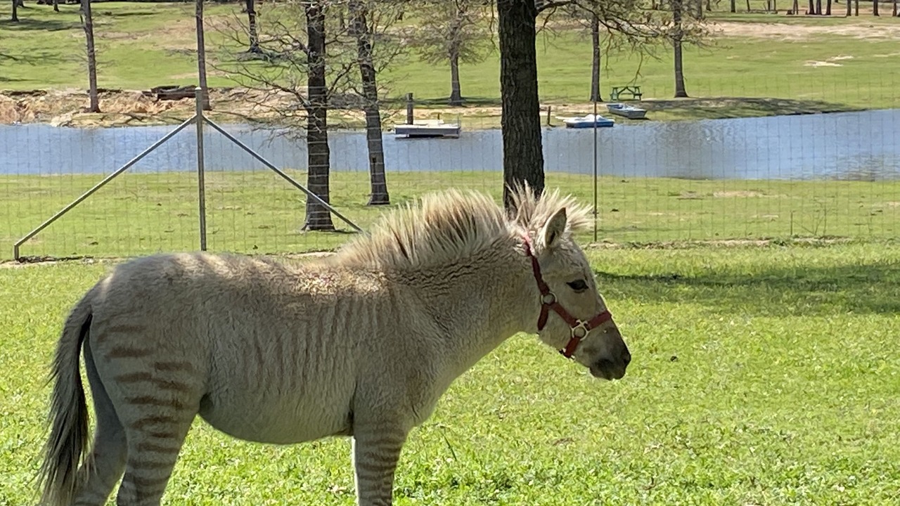 Photo of Outdoor in Centerville