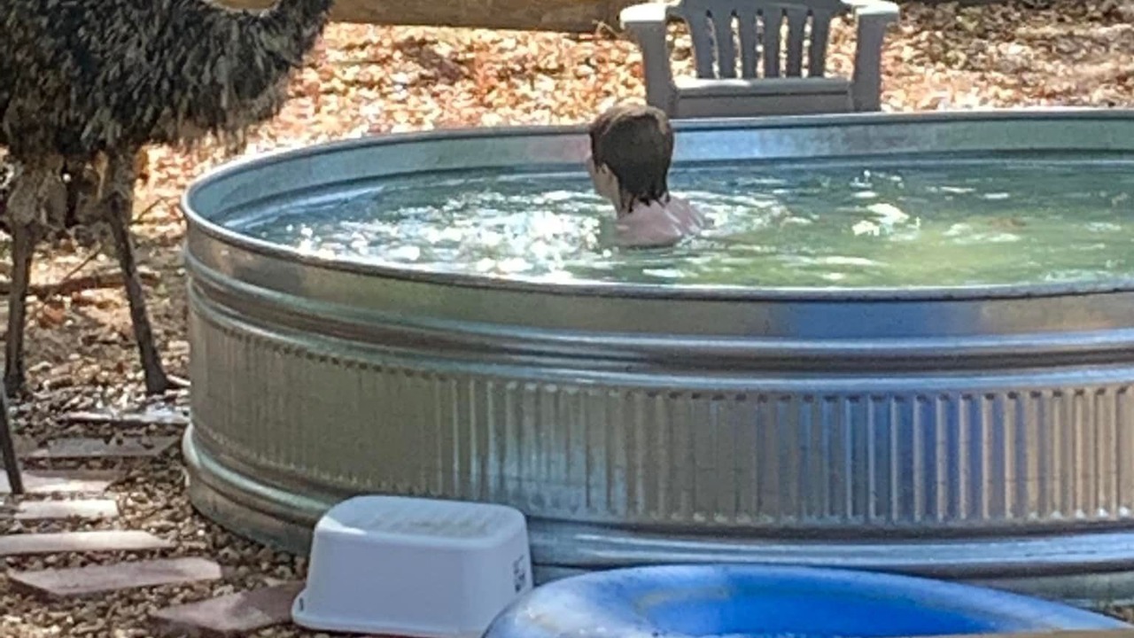 Photo of Outdoor in Centerville