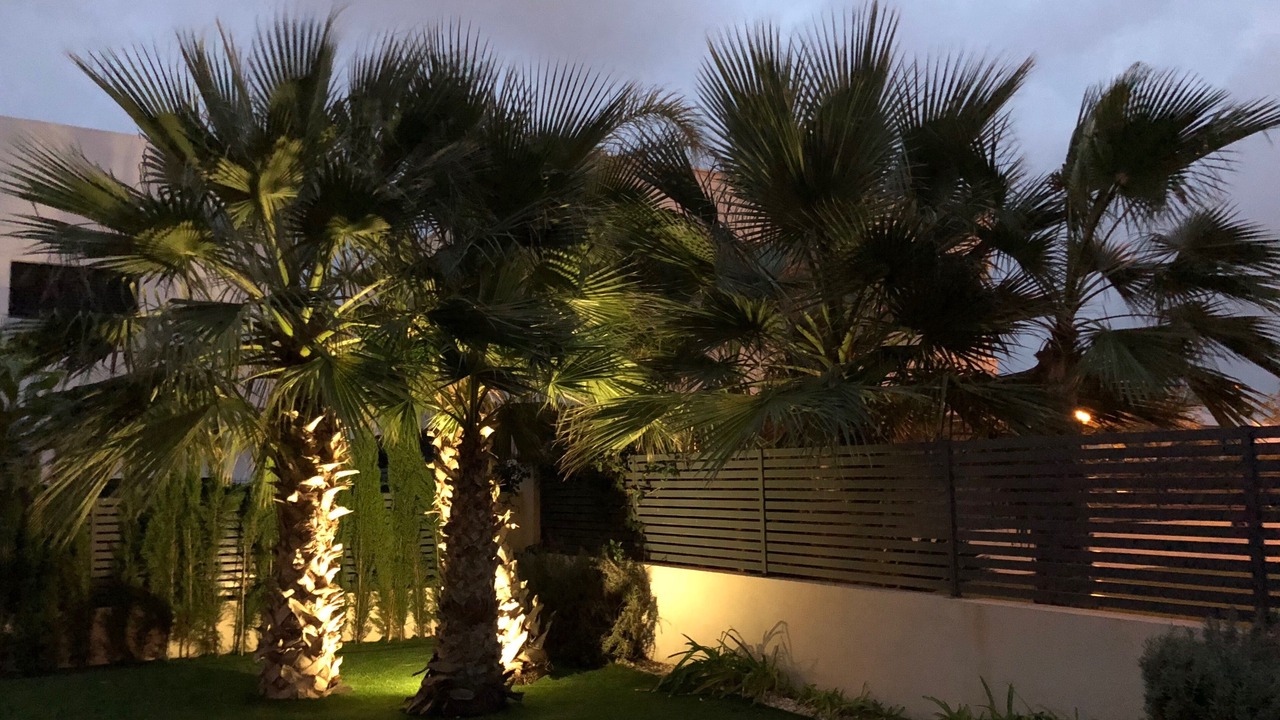 Photo of Outdoor in Los Cuarteros