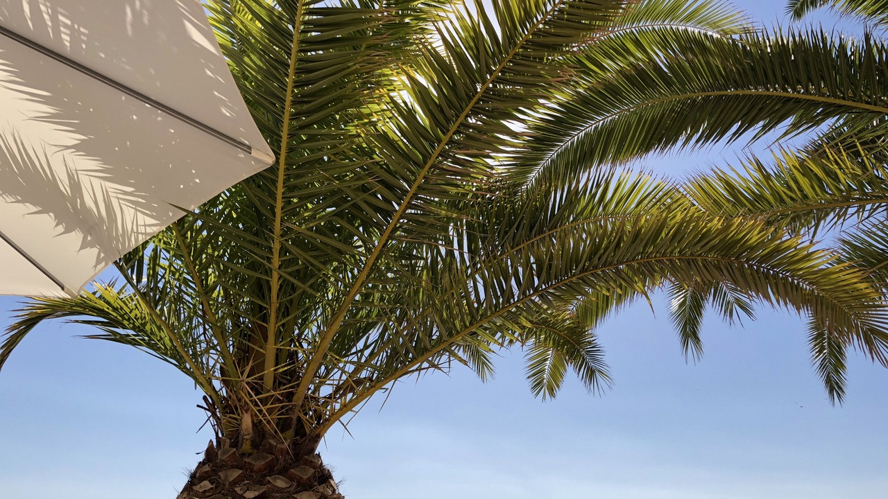 Photo of Outdoor in Los Cuarteros
