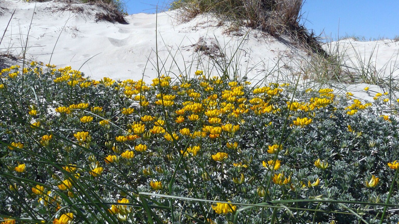 Photo of Outdoor in Los Cuarteros