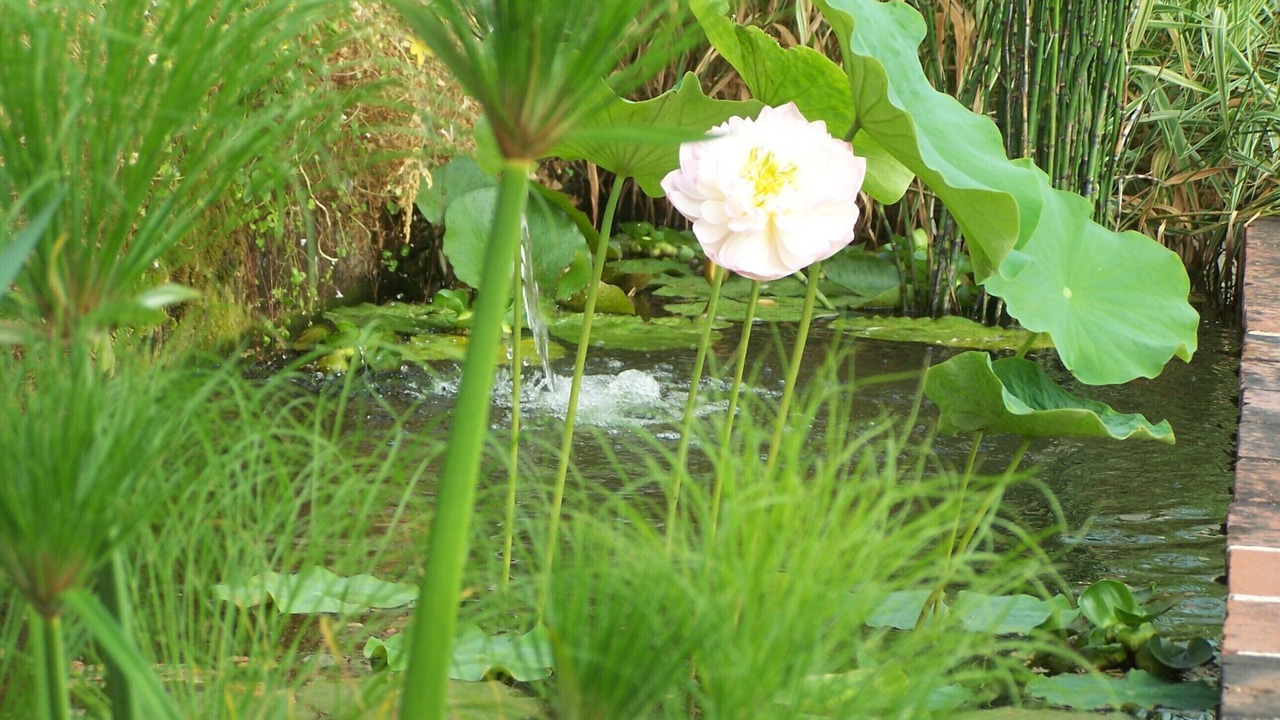 Photo of Outdoor in Agen