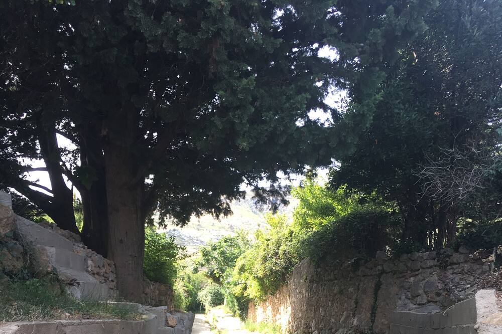 Photo of Outdoor in Tuchan