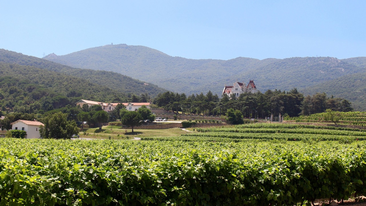 Photo of Outdoor in Ille-sur-Tet