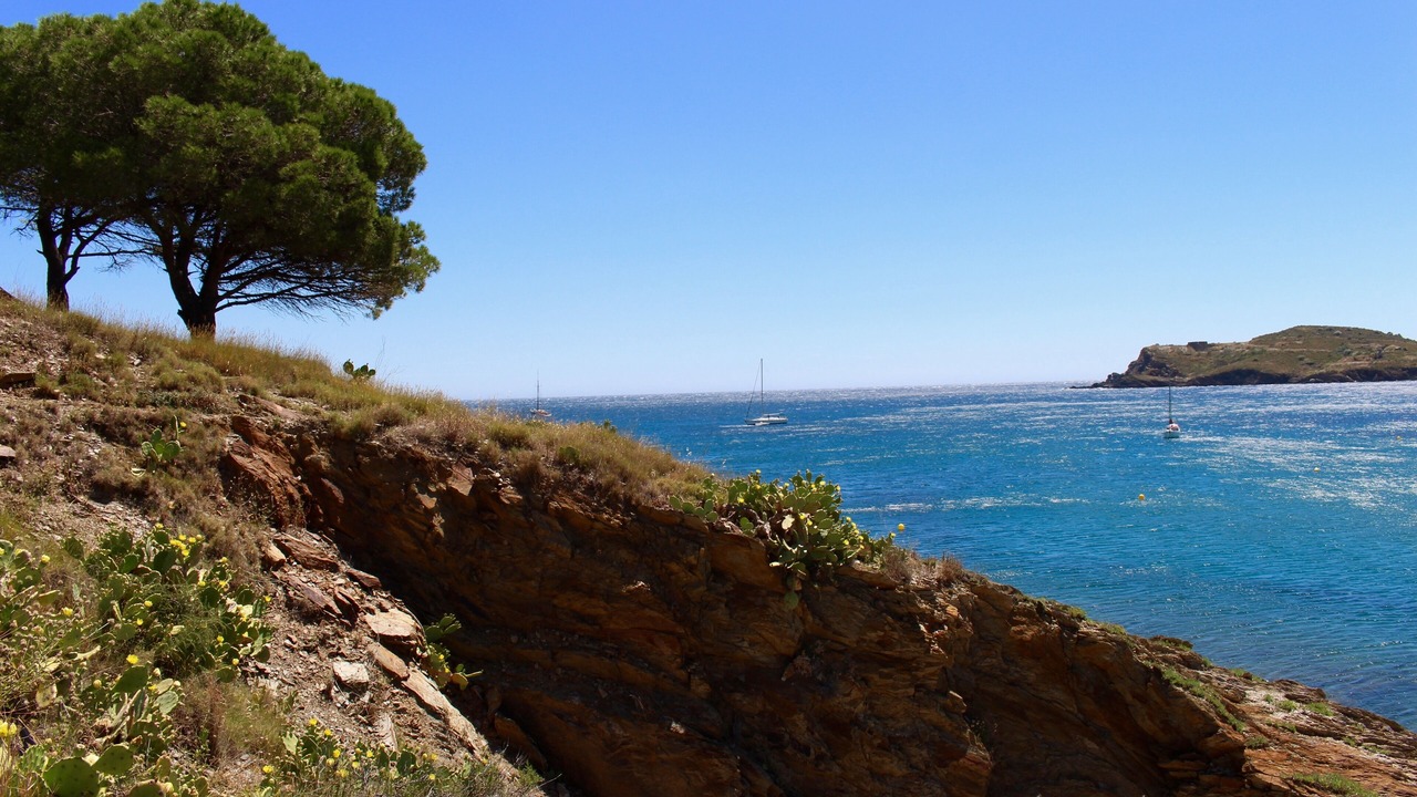 Photo of Others in Ille-sur-Tet