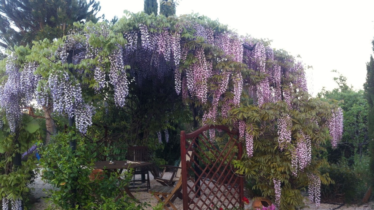 Photo of Outdoor in Passa