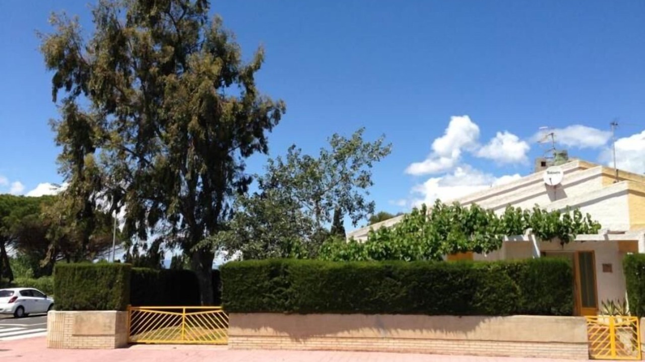 Photo of Outdoor in Riumar