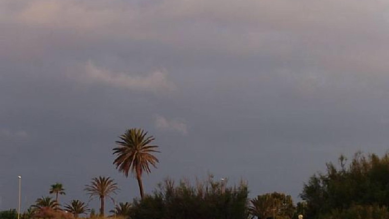 Photo of Others in Riumar