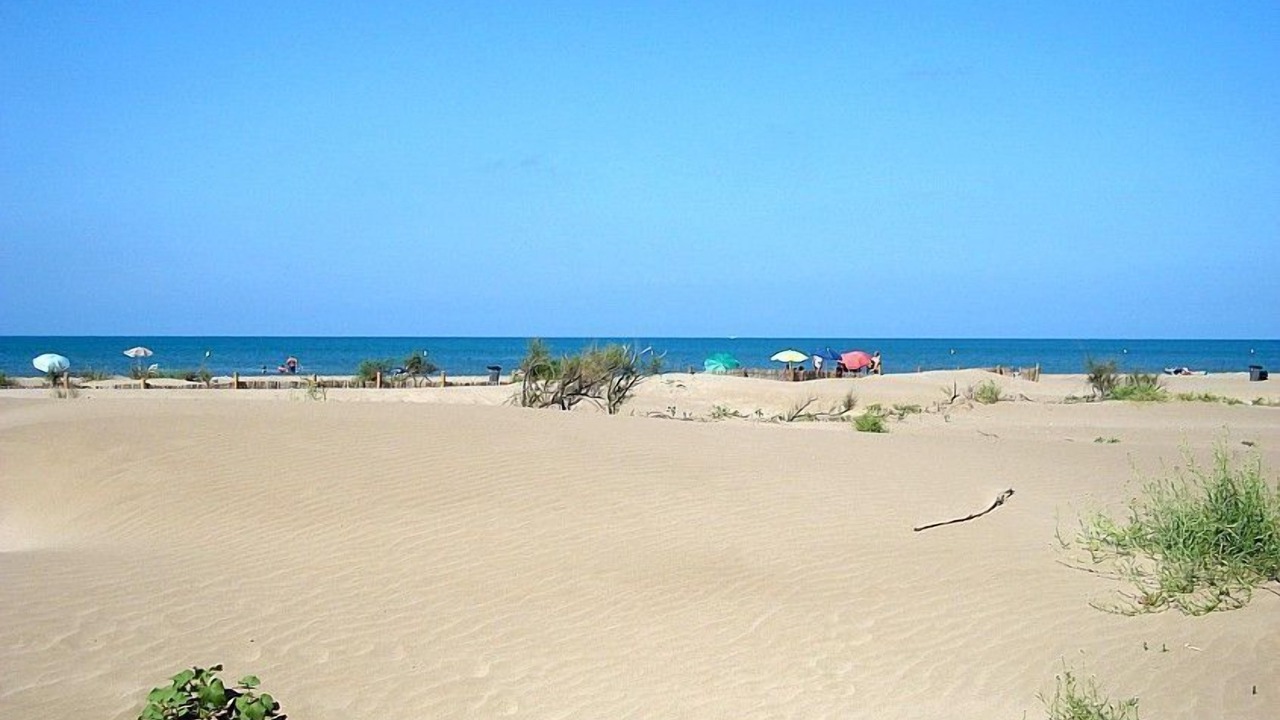 Photo of Others in Riumar
