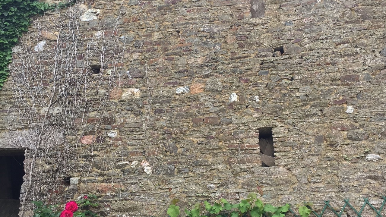 Photo of Outdoor in Bazouges-la-Perouse