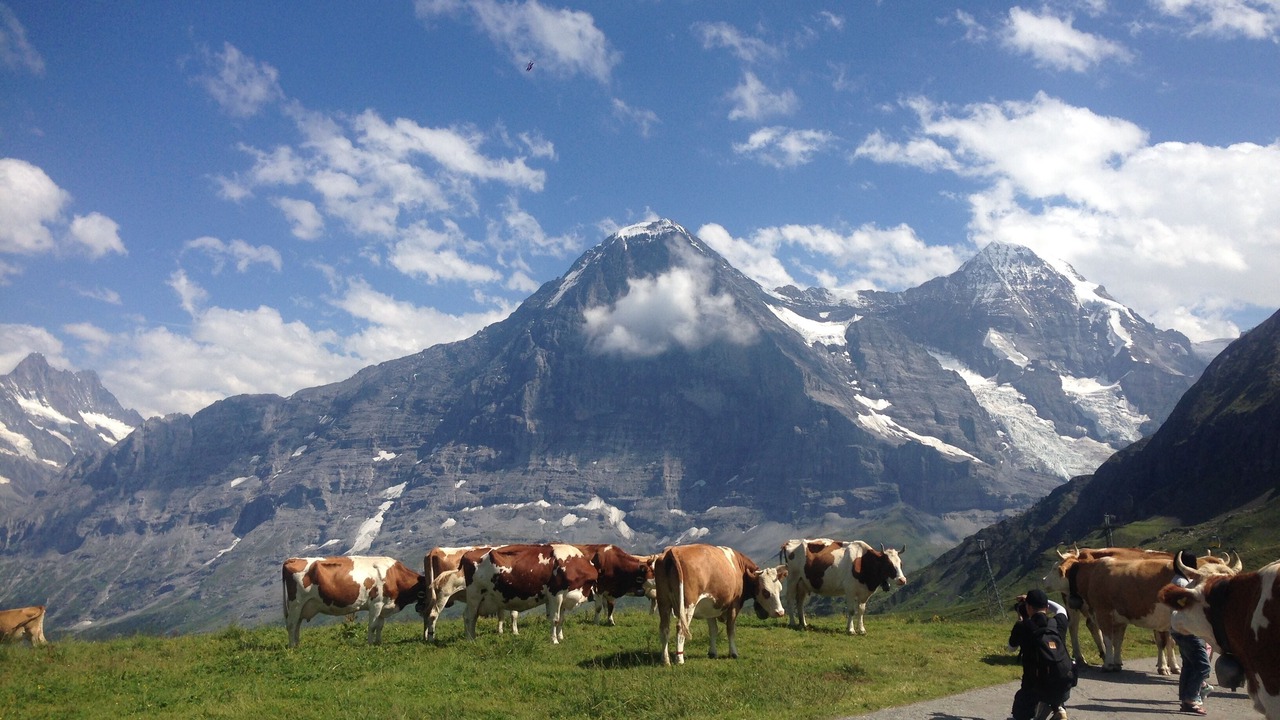 Photo of Outdoor in Goldswil