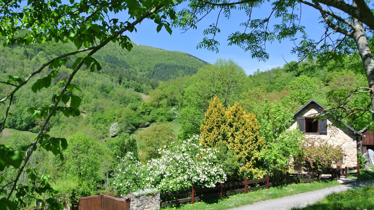 Photo of Outdoor in Seix
