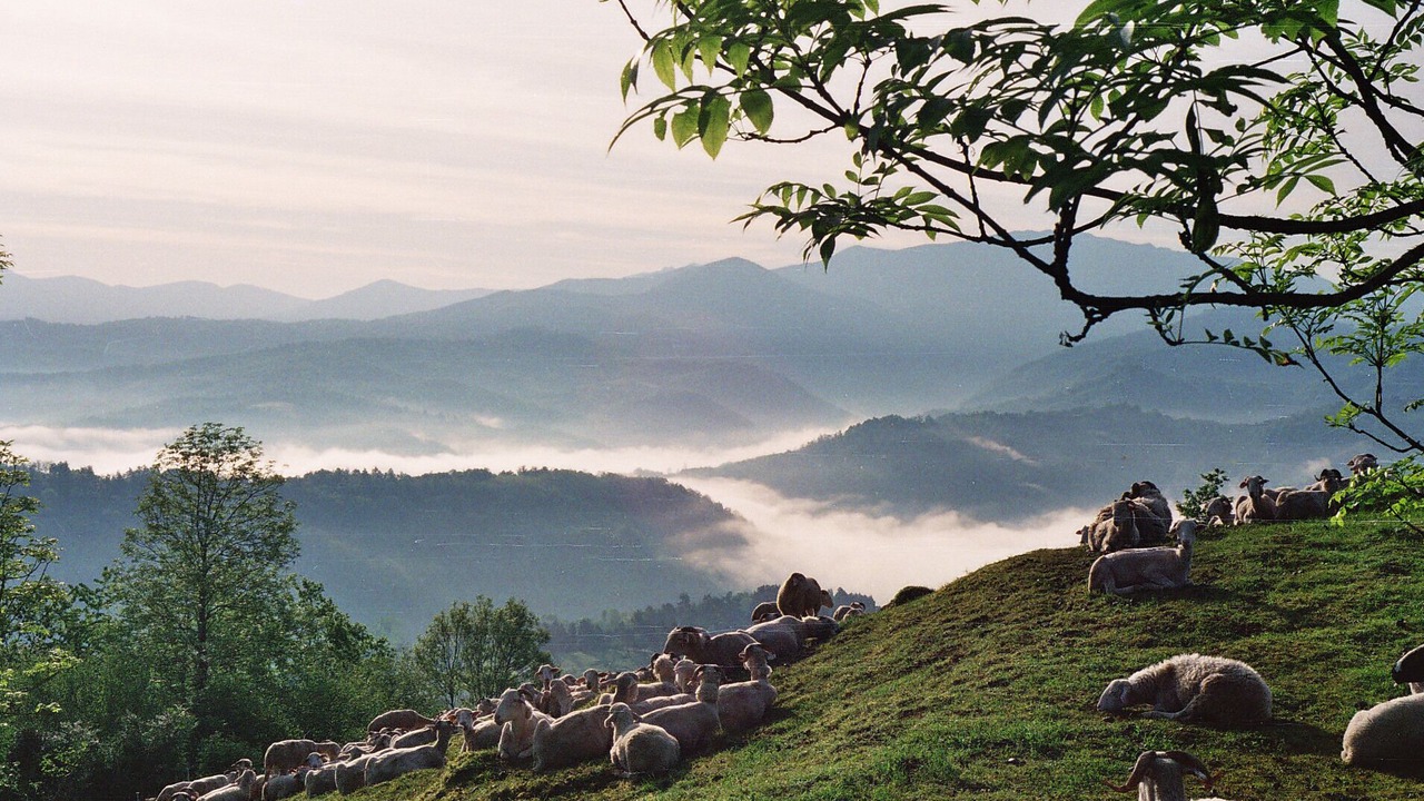 Photo of Outdoor in Seix
